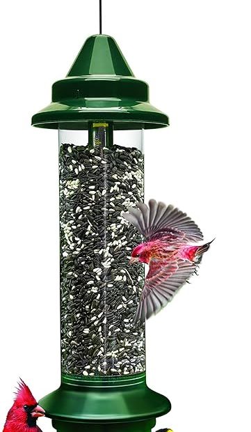 Squirrel Buster Plus Squirrel Proof Bird Feeder